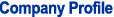 Company Profile